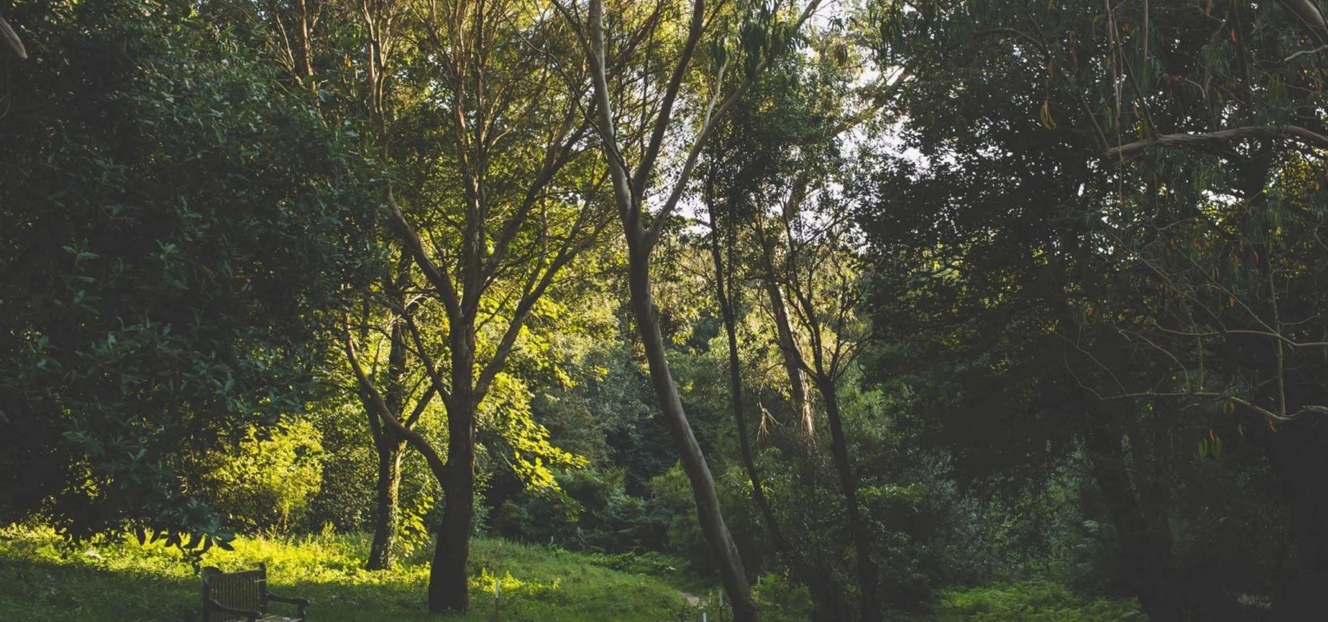 Дикий и красивый Джерси