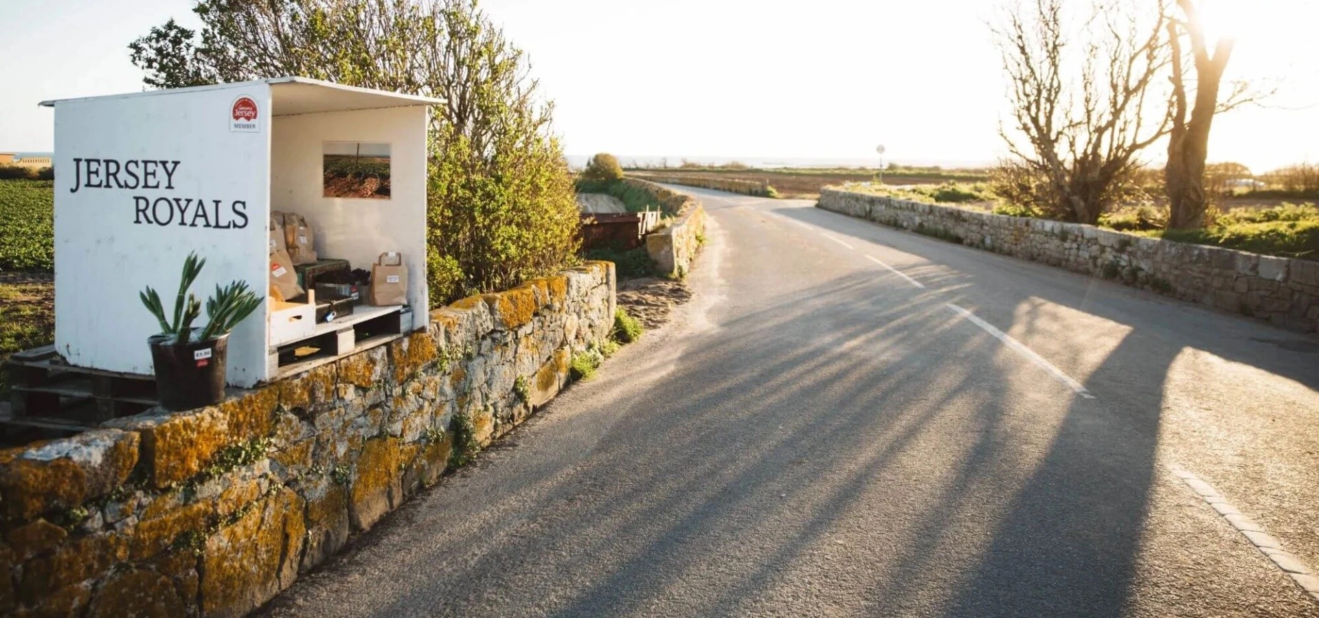 Четыре фермерских ларька в Джерси