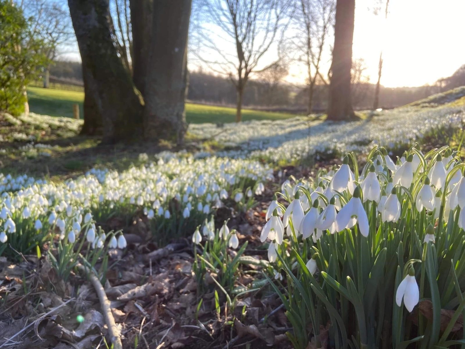9 причин выбрать Шотландию для февральских каникул