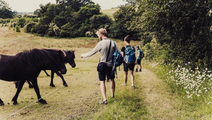 Freya McOmish, Scandinavia Standard