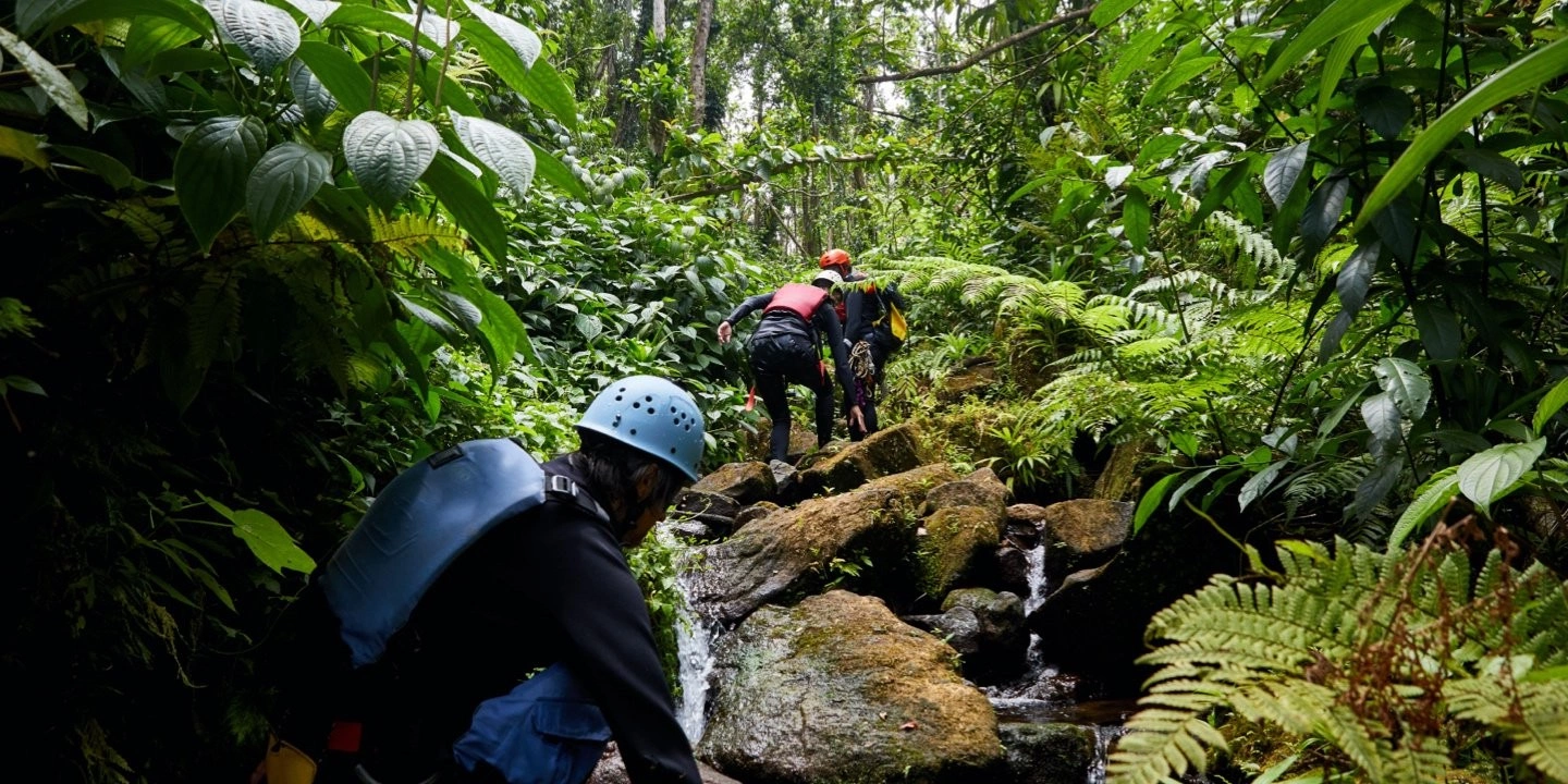 Исследуйте природу: пять лучших пеших приключений на Доминике
