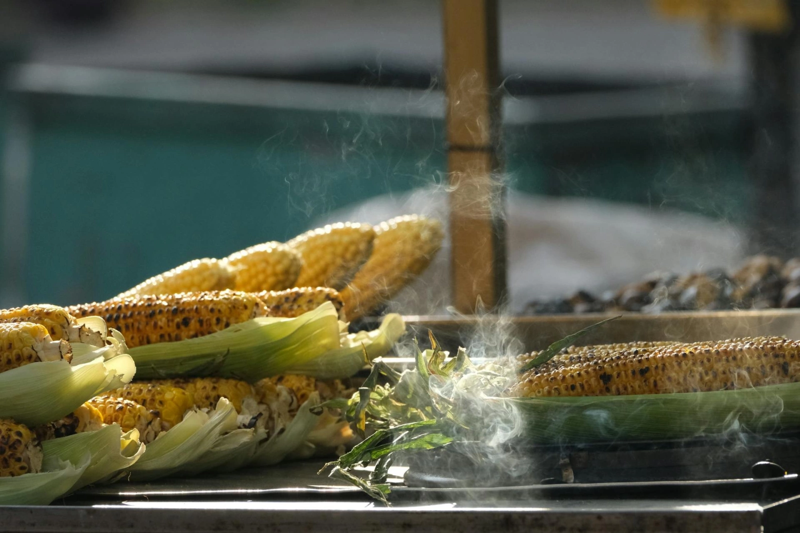 Алхимия початка на улице: кулинарное паломничество по Балканам