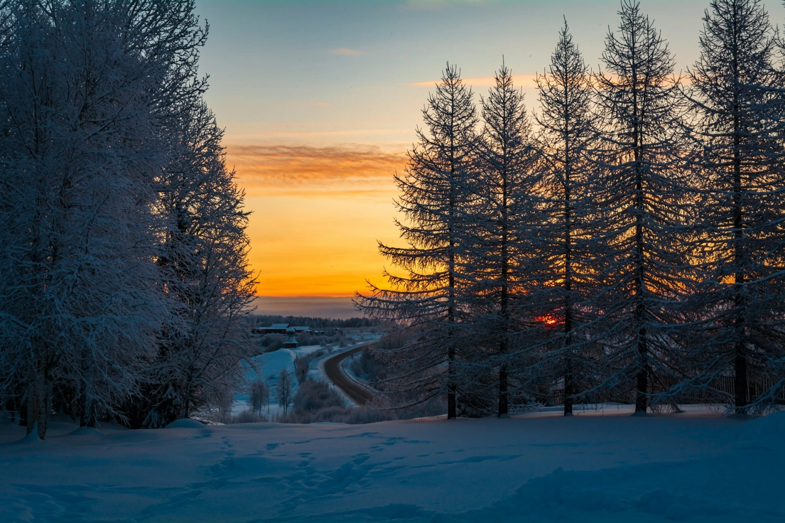 Тихие уголки севера: Проживание в Архангельской области