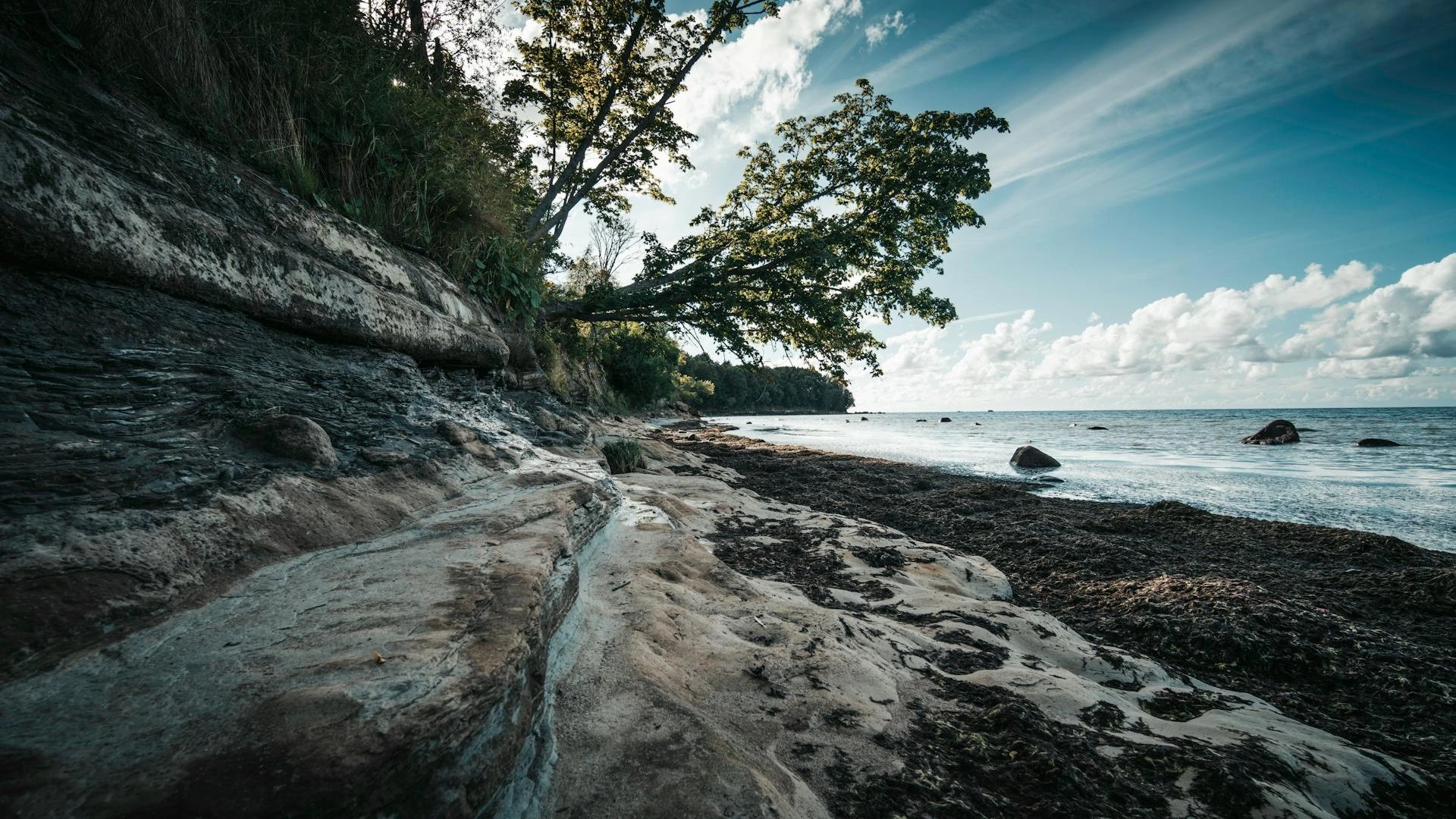Полевой дневник: Палдиски — привидения на берегу залива