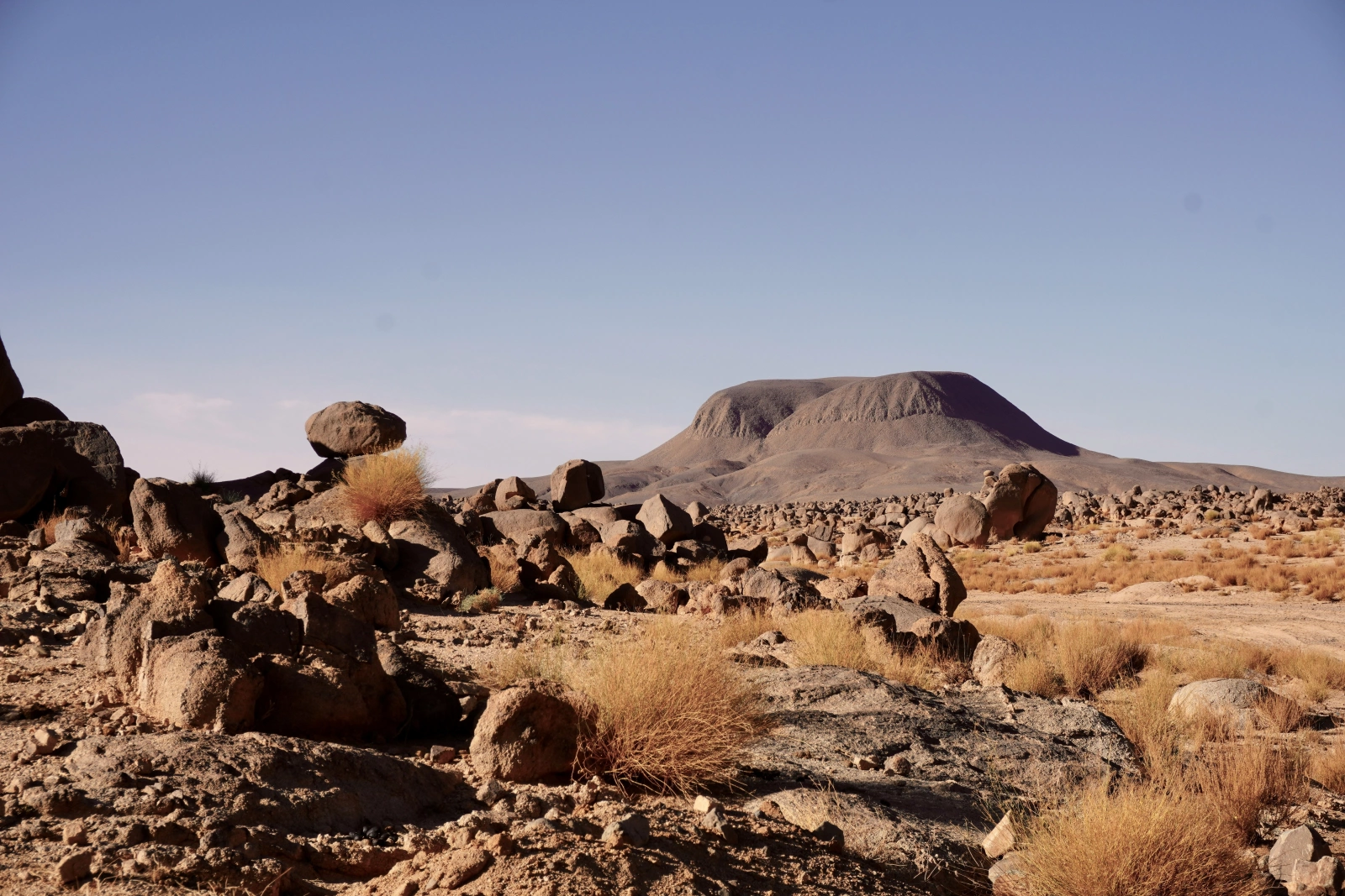 Алжирские ночи: Ваш главный гид по развлечениям в скрытой жемчужине Северной Африки