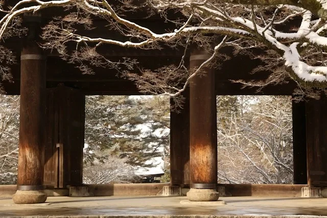A group of pillars with trees in the background