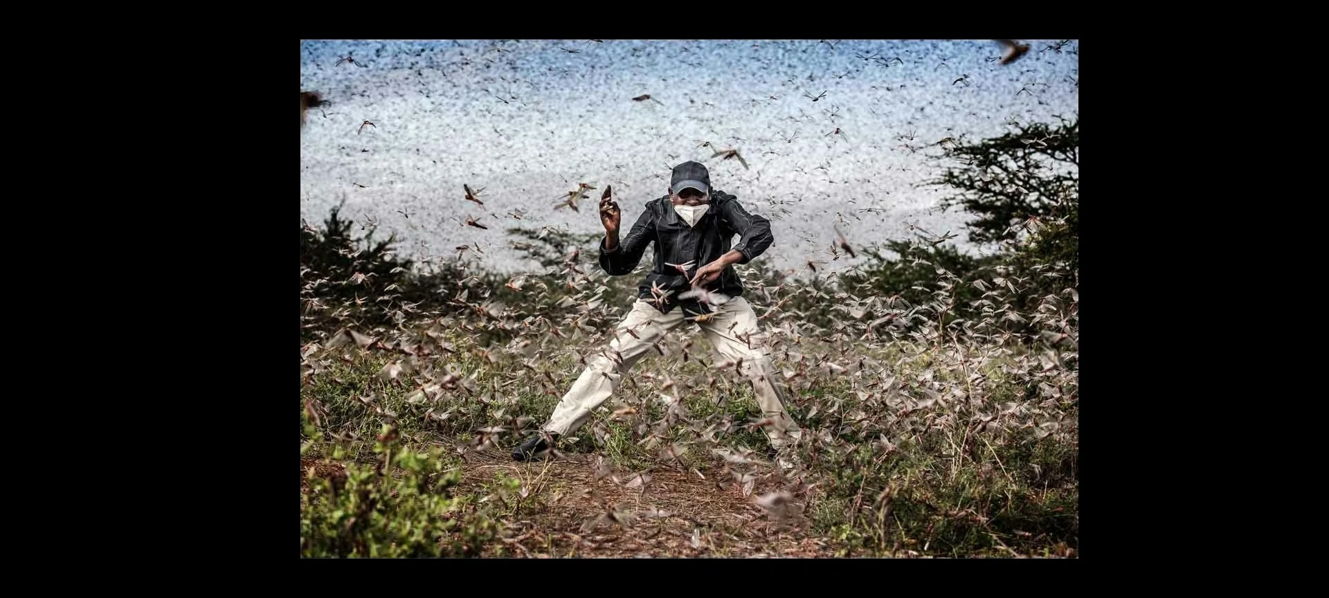 Передвижная выставка World Press Photo