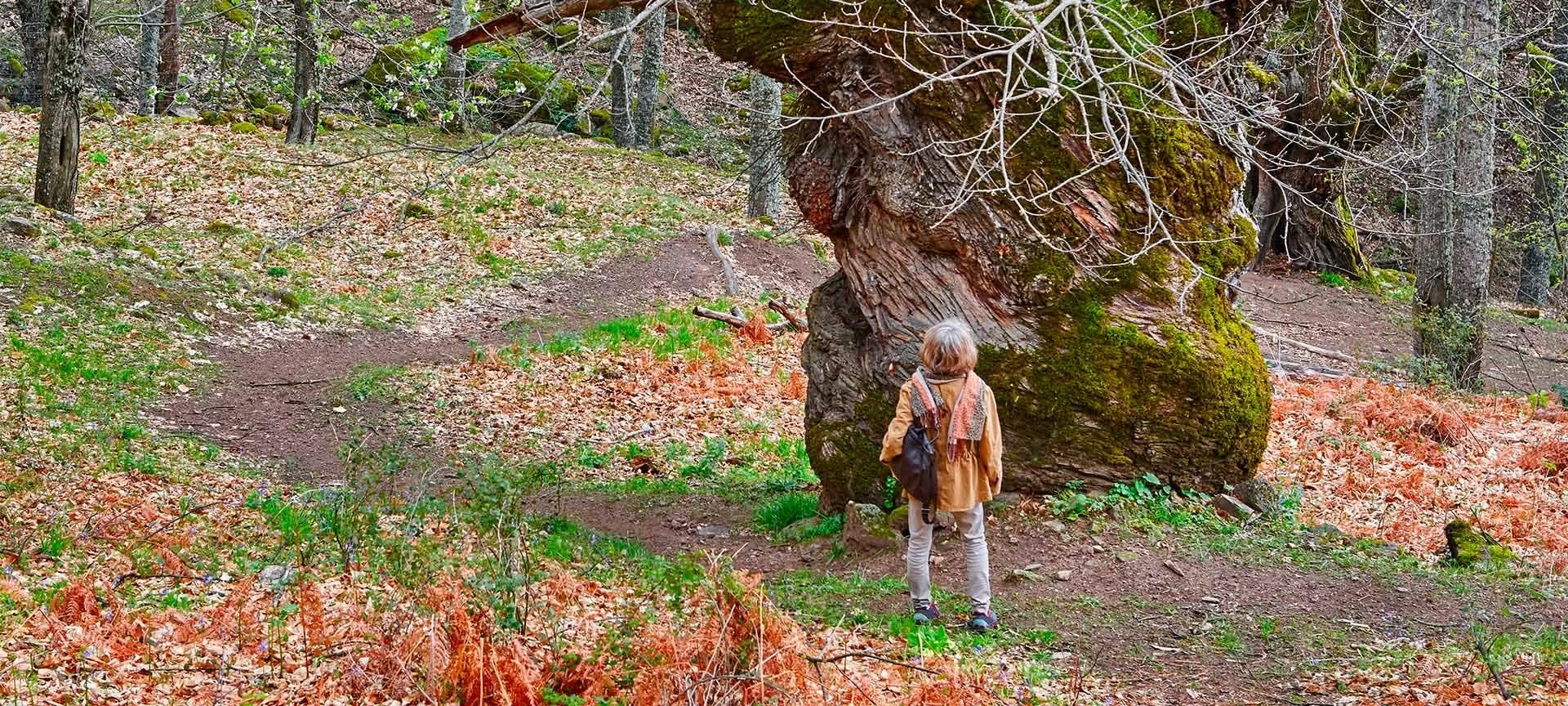 Осенний культурный фестиваль «Волшебная осень» в долине Амброс