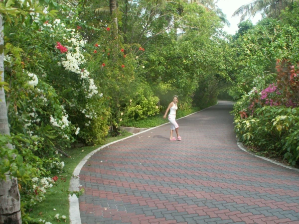 на sun island