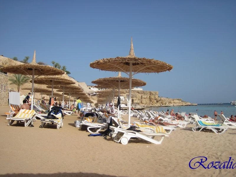 Пляж отеля Риф Оазис Бич