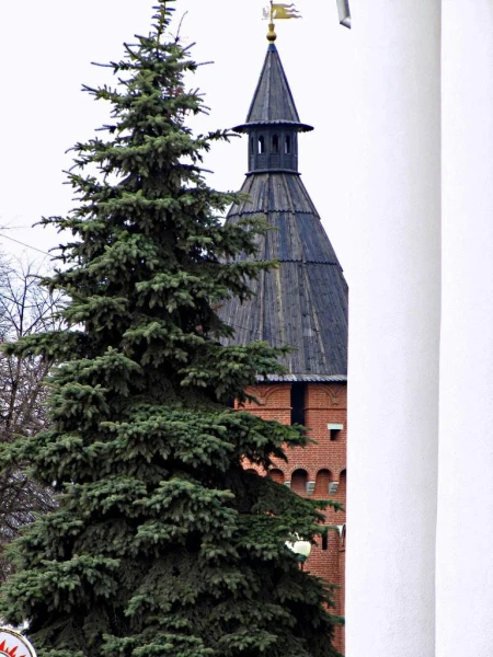 Тульский Кремль.