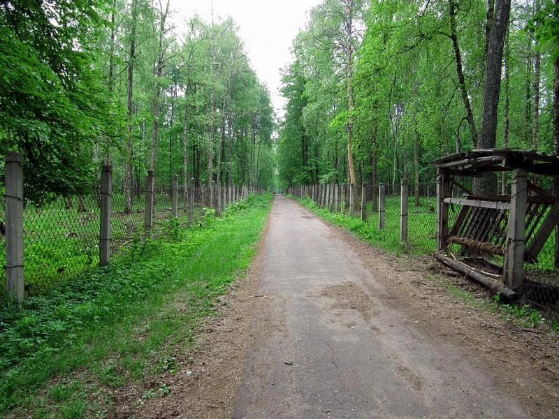 Приокско - Террасный заповедник. Зубровый питомник. Дорожка, по которой мы шли между "загонами"