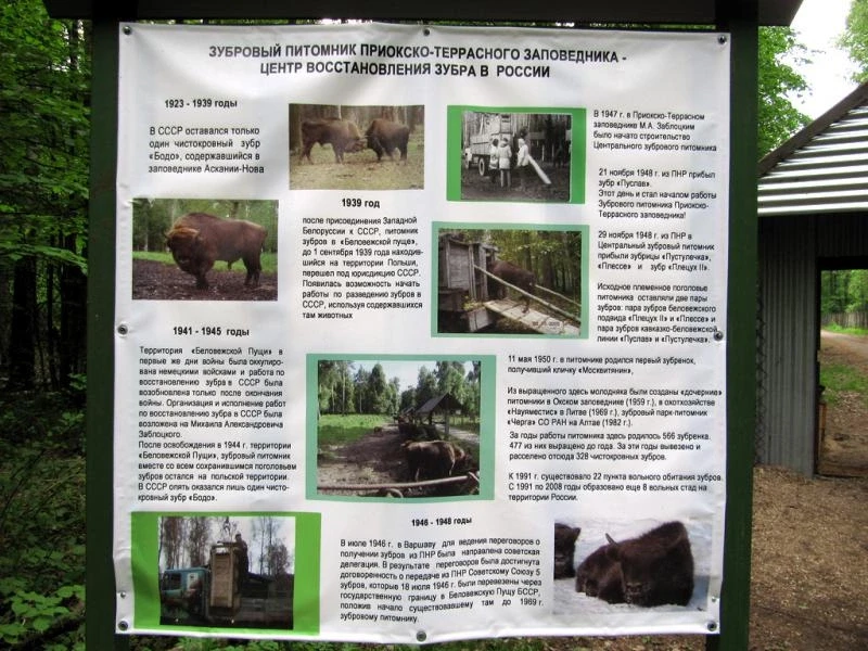 Приокско - Террасный заповедник. Зубровый питомник