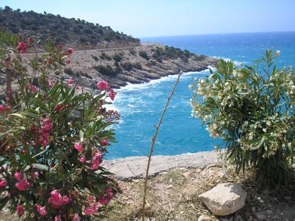 Asdem Park 4* Turkey Kemer 2010