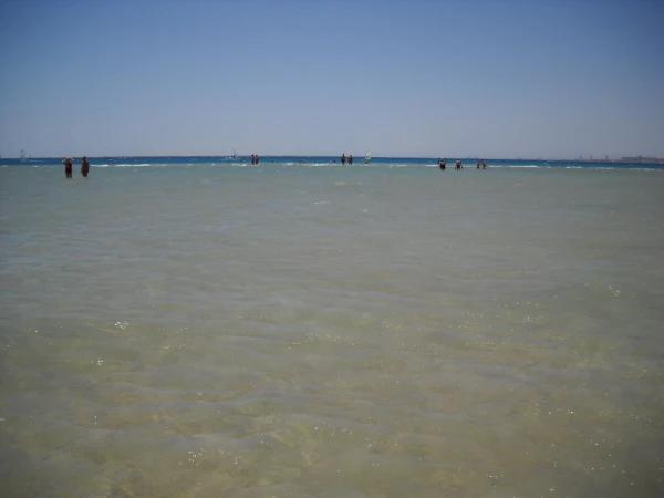 Лагуна