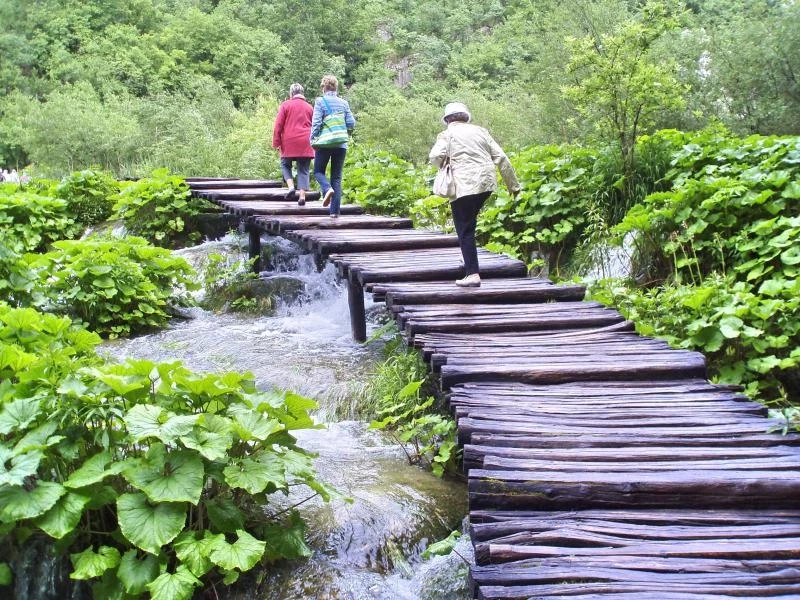 собственно те самые плитвицкие дорожки...