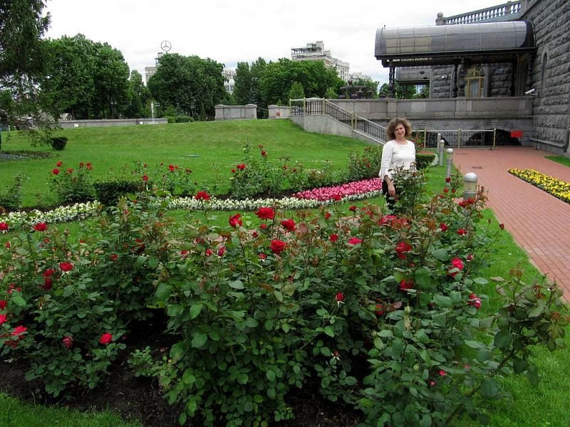Наша Москва. У Храма Христа Спасителя