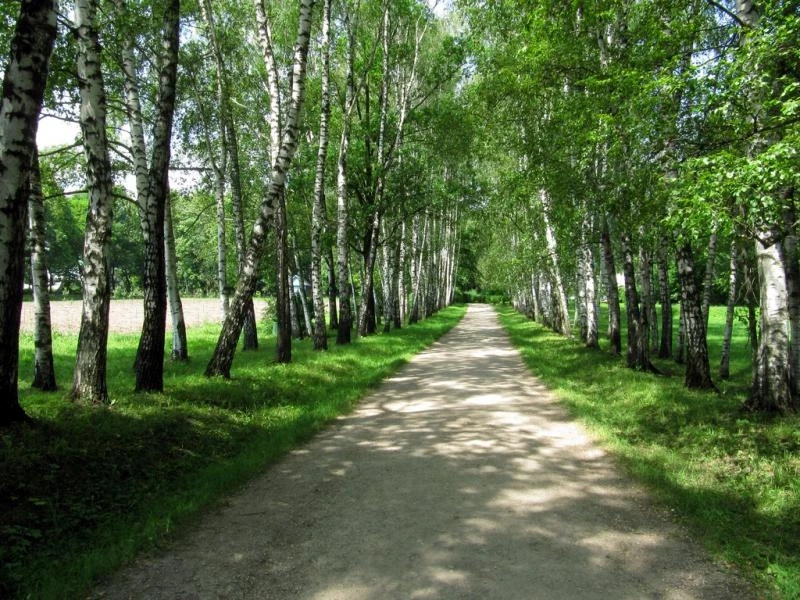 Усадьба "Ясная поляна"