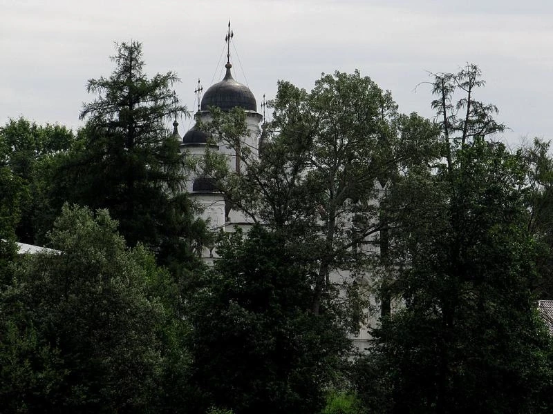 Усадьба "Большие Вяземы"