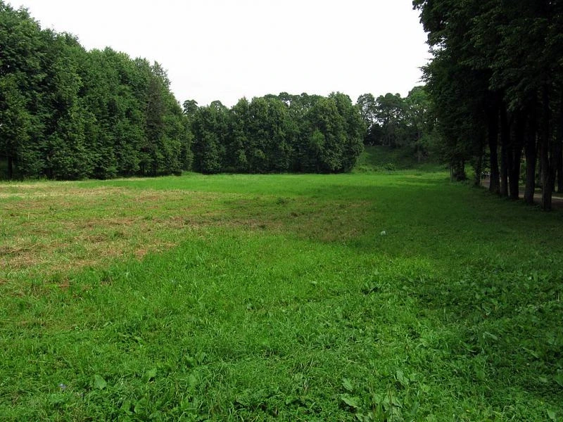 Звенигород. "Городок". Земляные Валы