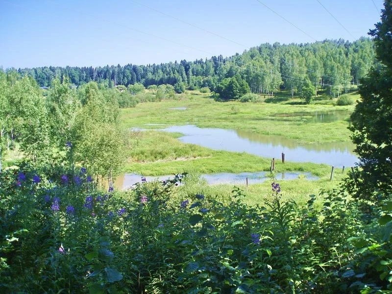 долина реки Вори