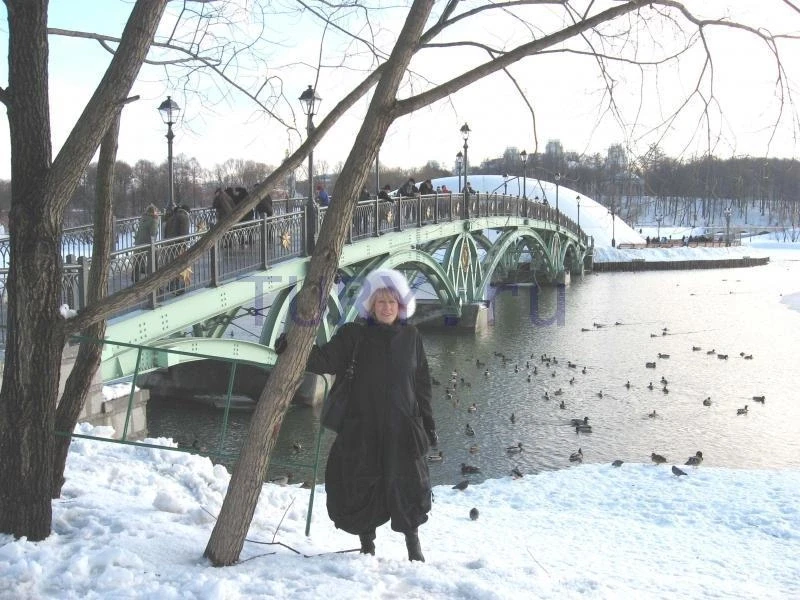 Ажурный мост