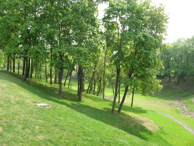 В парке