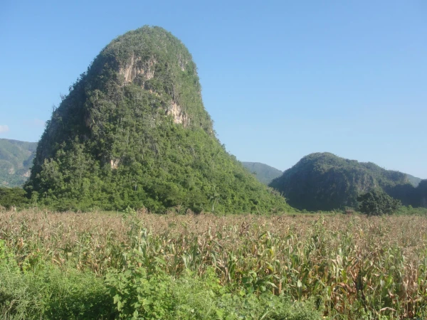 Долина Виньялес.