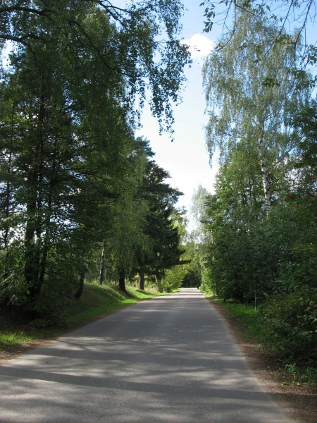 Дорога прамо к музею