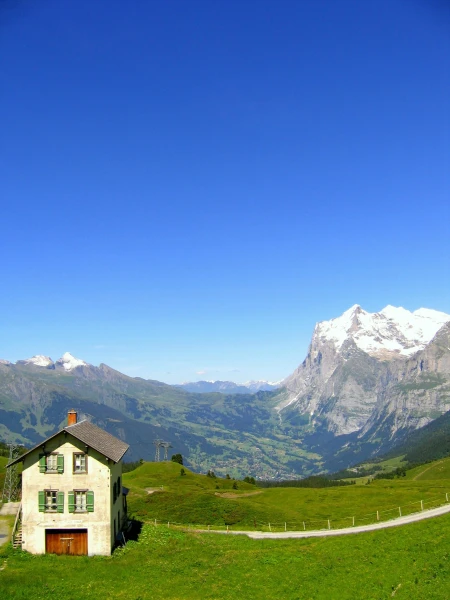 горы-лето/Grindelwald