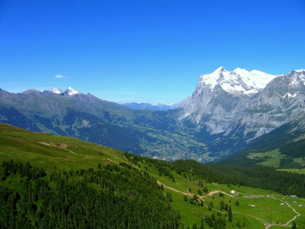 горы-лето/ Grindelwald