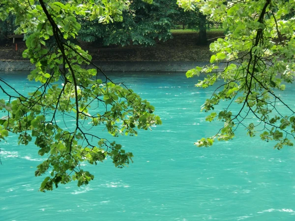 Bern