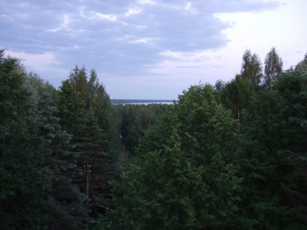 Волгарь