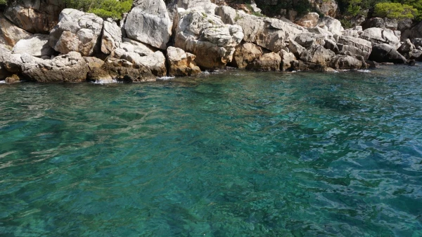 Водичка у острова Локрум