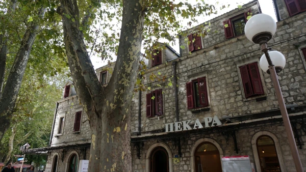 Кафе Платаны