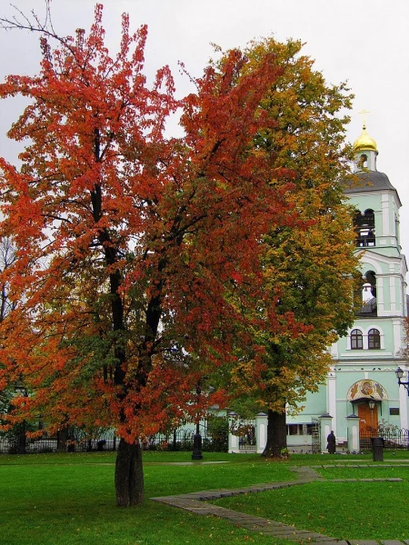 Царицыно