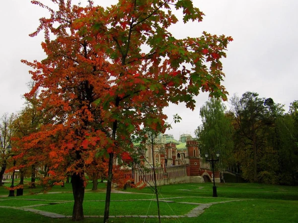 Царицыно