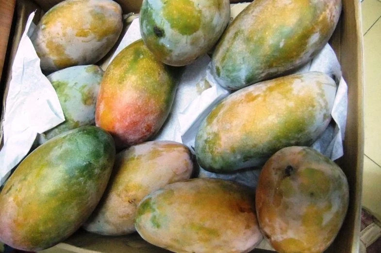 Манго
