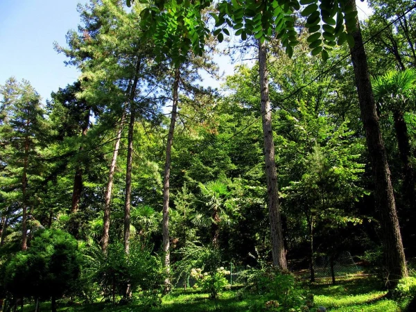 Парк