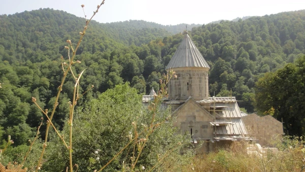 Агарцин