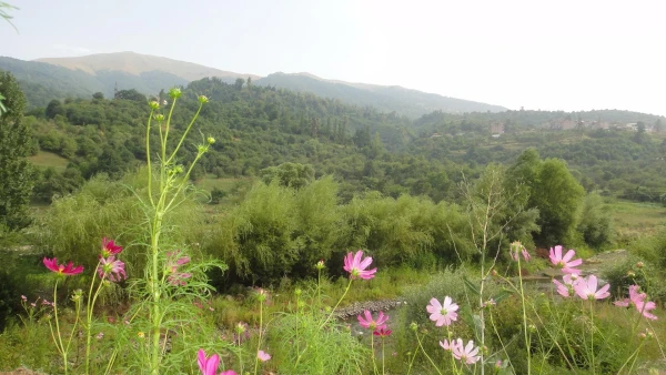 красоты Дилижана