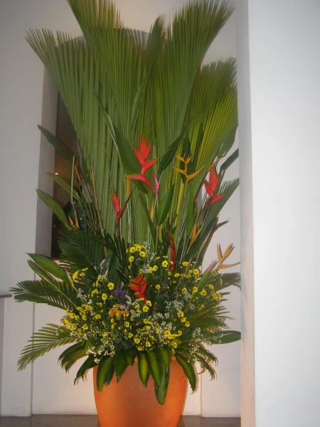  Bong Sen Hotel Saigon