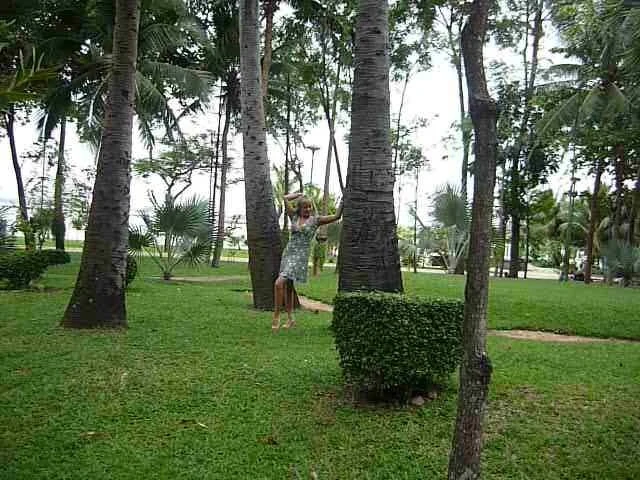 Парк в Garden Sea View.