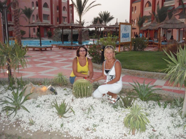 Отдых в Хургаде отель Albatros Aqua Blue Resort 4*