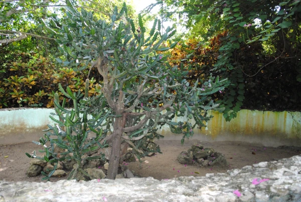Manati park(зоопарк)
