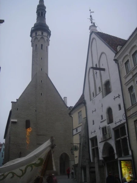 Фотография №6