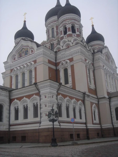 Фотография №8