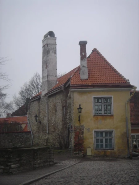 Фотография №10