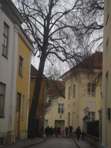 Фотография №11