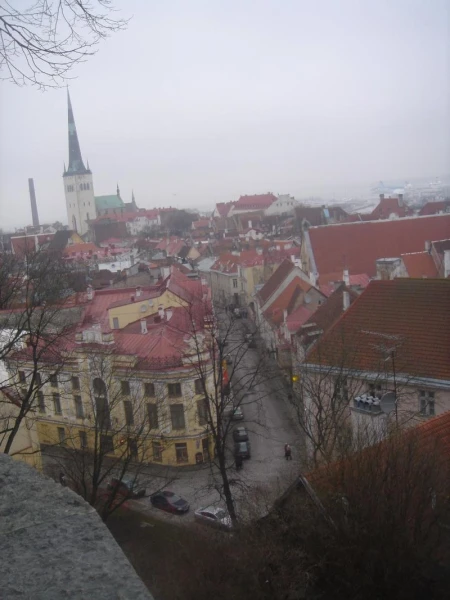 Фотография №13